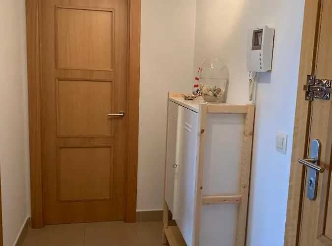 Abedules El Campello